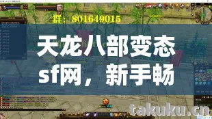 新手畅玩指南与隐藏玩法大揭秘天龙私服图片