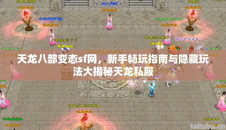 天龙八部变态sf网，新手畅玩指南与隐藏玩法大揭秘天龙私服
