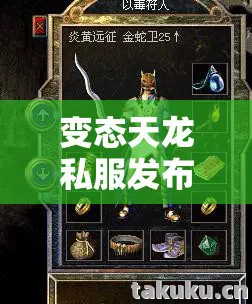 我在私服里的热血与坑路天龙私服图片