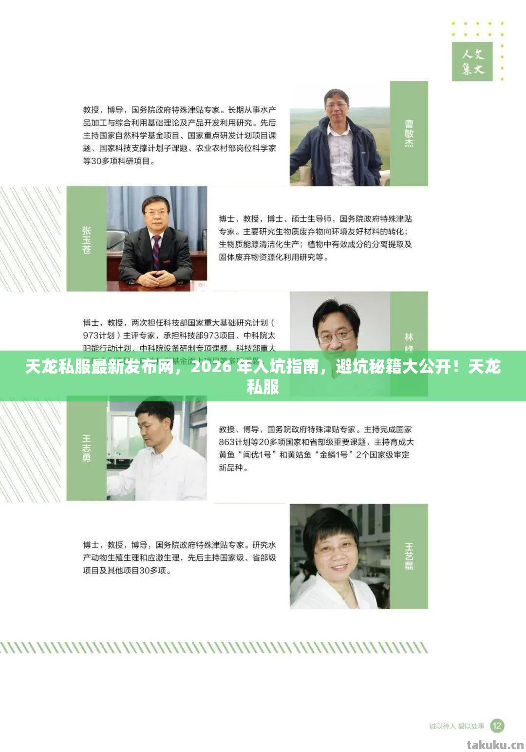 2026 年入坑指南图片