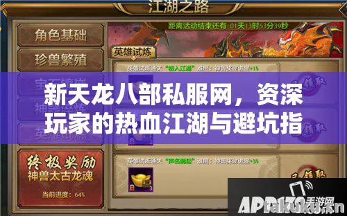 新天龙八部私服网，资深玩家的热血江湖与避坑指南天龙八部私服
