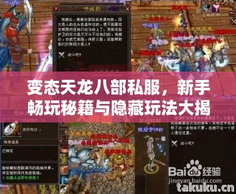 变态天龙八部私服，新手畅玩秘籍与隐藏玩法大揭秘天龙私服