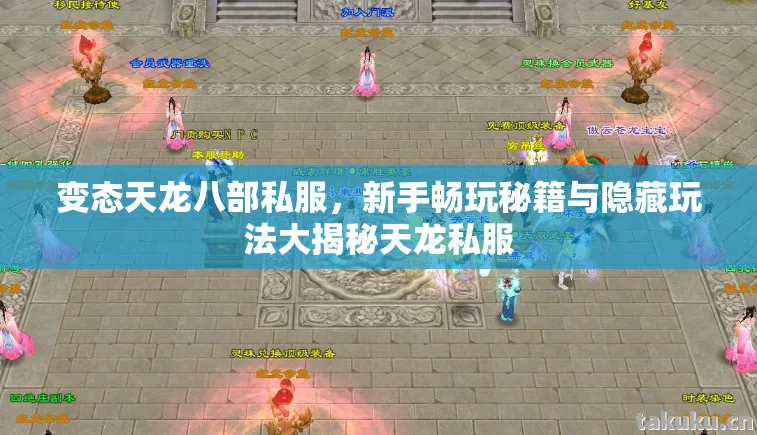 新手畅玩秘籍与隐藏玩法大揭秘天龙私服图片