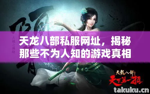 天龙八部私服网址，揭秘那些不为人知的游戏真相天龙八部私服