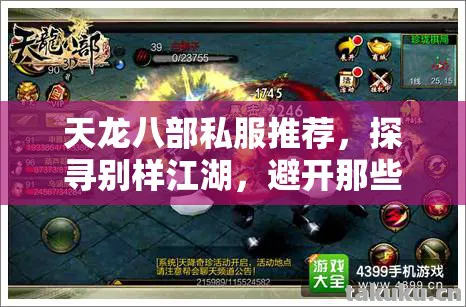 避开那些坑天龙八部私服图片
