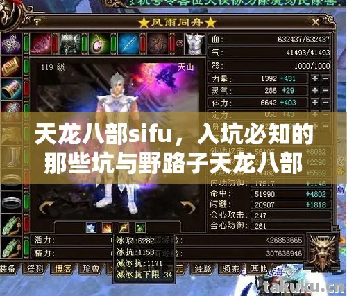入坑必知的那些坑与野路子天龙八部私服图片