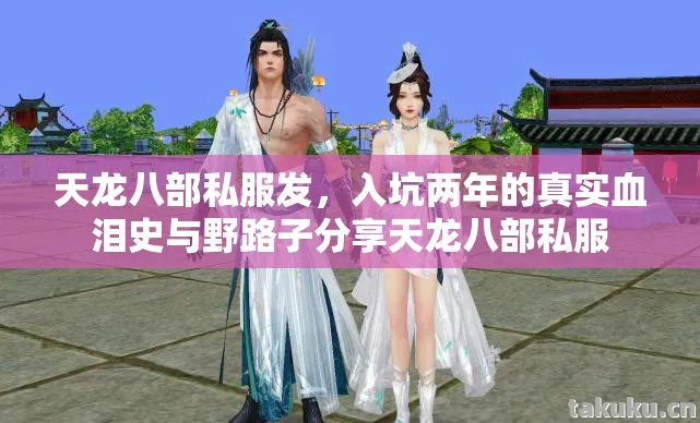 天龙八部私服发，入坑两年的真实血泪史与野路子分享天龙八部私服