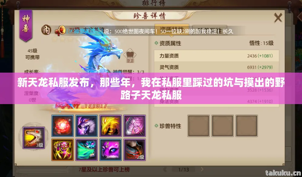 我在私服里踩过的坑与摸出的野路子天龙私服图片