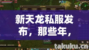 新天龙私服发布,那些年,我在私服里踩过的坑与摸出的野路子天龙私服 新天龙私服发布,那些年,我在私服里踩过的坑与摸出的野路子天龙私服