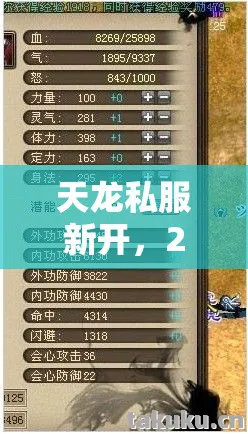 天龙私服新开,2026 年超变天龙八部核心玩法揭秘与实用指南天龙八部私服 天龙私服新开,2026 年超变天龙八部核心玩法揭秘与实用指南天龙八部私服