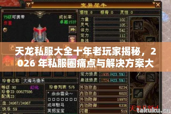 2026 年私服圈痛点与解决方案大公开天龙八部私服图片