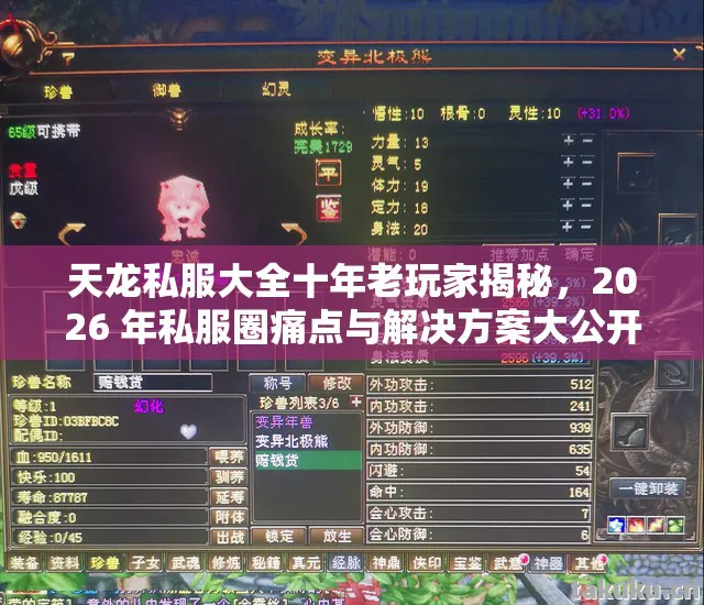 天龙私服大全十年老玩家揭秘，2026 年私服圈痛点与解决方案大公开天龙八部私服