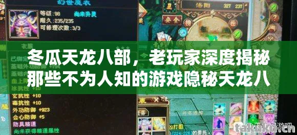 冬瓜天龙八部，老玩家深度揭秘那些不为人知的游戏隐秘天龙八部私服