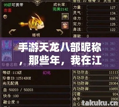 我在江湖里踩过的坑与摸出的野路子天龙私服图片