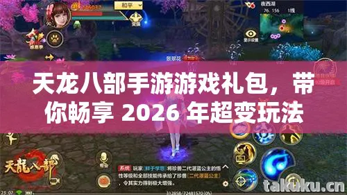 带你畅享 2026 年超变玩法的实用指南天龙八部私服图片