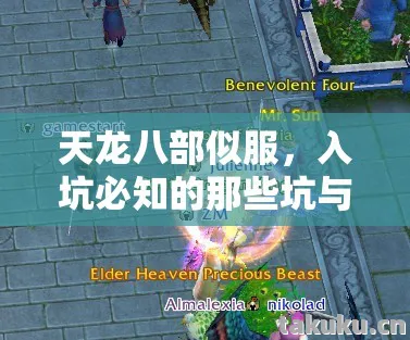 入坑必知的那些坑与野路子天龙私服图片