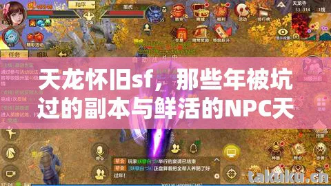 那些年被坑过的副本与鲜活的NPC天龙私服图片
