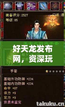 好天龙发布网，资深玩家的热血江湖与避坑指南天龙八部私服