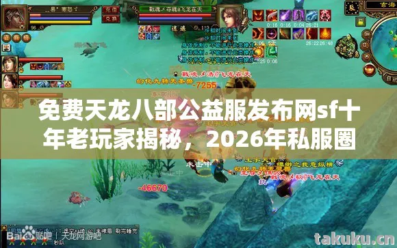 免费天龙八部公益服发布网sf十年老玩家揭秘图片