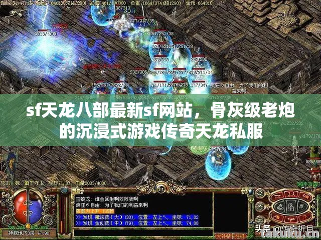 骨灰级老炮的沉浸式游戏传奇天龙私服图片
