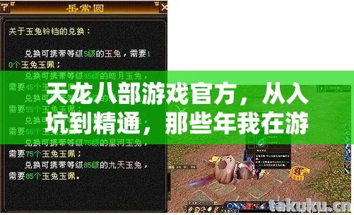 那些年我在游戏里摸爬滚打的经验天龙八部私服图片
