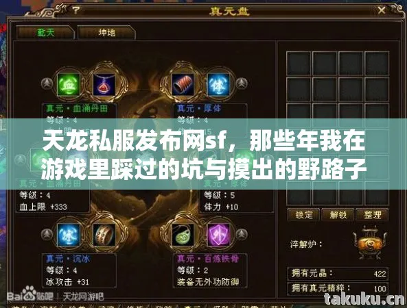 那些年我在游戏里踩过的坑与摸出的野路子天龙八部私服图片