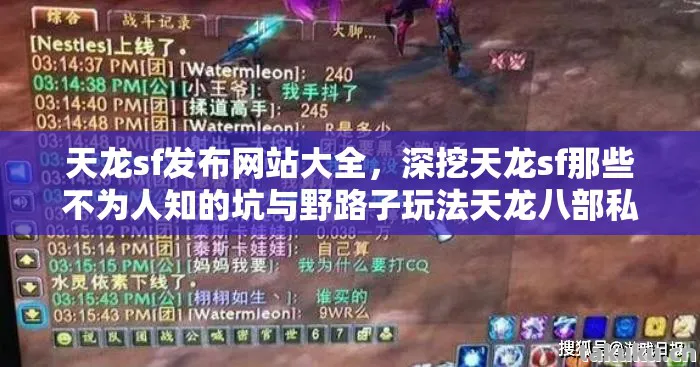 天龙sf发布网站大全，深挖天龙sf那些不为人知的坑与野路子玩法天龙八部私服