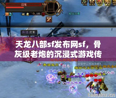 骨灰级老炮的沉浸式游戏传奇与实用指南天龙私服图片