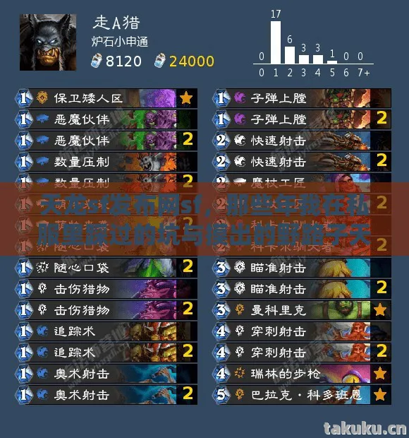 那些年我在私服里踩过的坑与摸出的野路子天龙私服图片