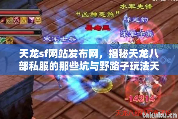 天龙sf网站发布网，揭秘天龙八部私服的那些坑与野路子玩法天龙八部私服
