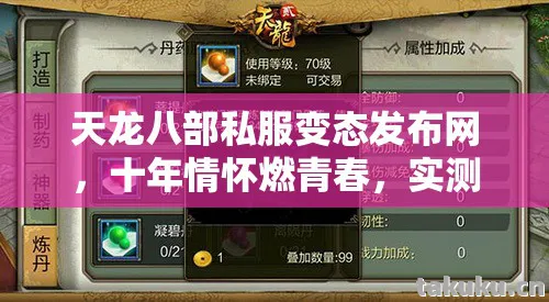 天龙八部私服变态发布网，十年情怀燃青春，实测认证带你重寻热血江湖！天龙私服