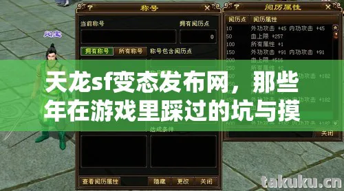 那些年在游戏里踩过的坑与摸出的野路子天龙八部私服图片