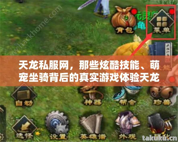 天龙私服网，那些炫酷技能、萌宠坐骑背后的真实游戏体验天龙八部私服