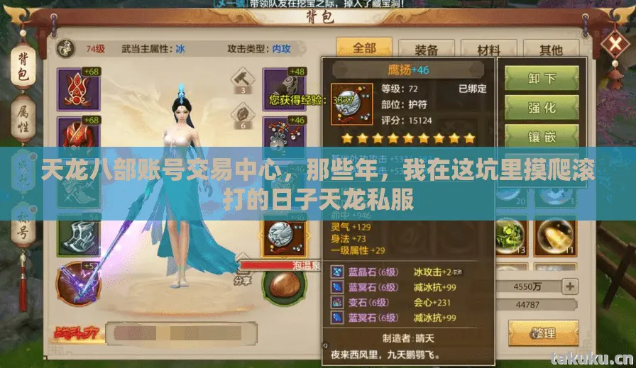 我在这坑里摸爬滚打的日子天龙私服图片