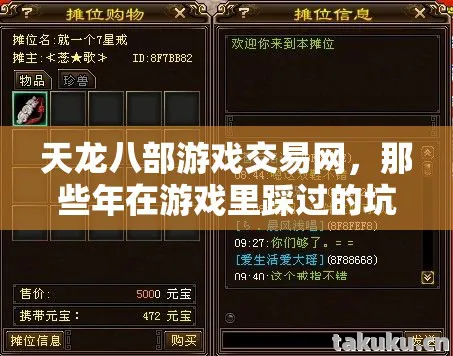 那些年在游戏里踩过的坑与摸出的野路子天龙私服图片