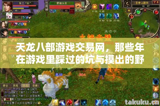 天龙八部游戏交易网，那些年在游戏里踩过的坑与摸出的野路子天龙私服