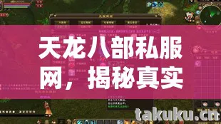 天龙八部私服网,揭秘真实体验与避坑指南天龙八部私服 天龙八部私服网,揭秘真实体验与避坑指南天龙八部私服