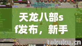 新手友好的隐藏玩法大揭秘天龙私服图片