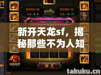 揭秘那些不为人知的坑与野路子玩法天龙私服图片