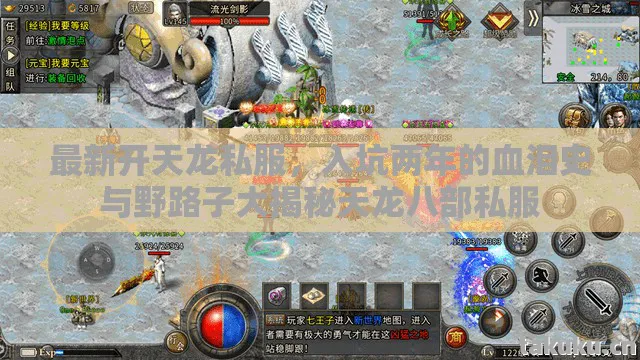 入坑两年的血泪史与野路子大揭秘天龙八部私服图片