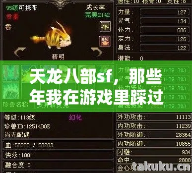 天龙八部sf,那些年我在游戏里踩过的坑与摸出的野路子天龙私服 天龙八部sf,那些年我在游戏里踩过的坑与摸出的野路子天龙私服