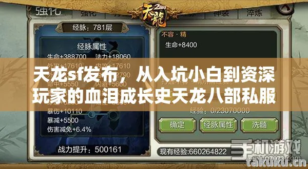 天龙sf发布，从入坑小白到资深玩家的血泪成长史天龙八部私服