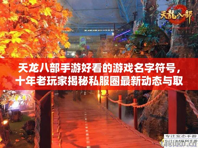 十年老玩家揭秘私服圈最新动态与取名技巧天龙八部私服图片