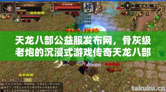 骨灰级老炮的沉浸式游戏传奇天龙八部私服图片