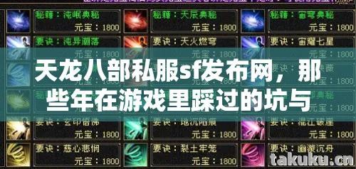 天龙八部私服sf发布网，那些年在游戏里踩过的坑与摸出的野路子天龙私服
