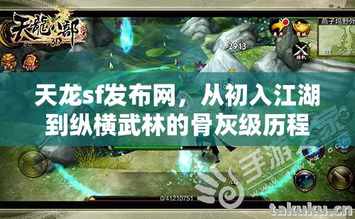 天龙sf发布网，从初入江湖到纵横武林的骨灰级历程天龙八部私服