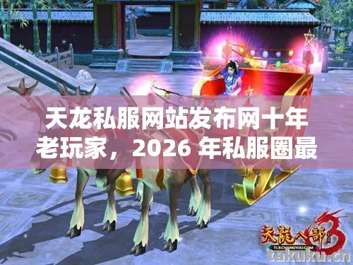 2026 年私服圈最新动态全解析天龙私服图片