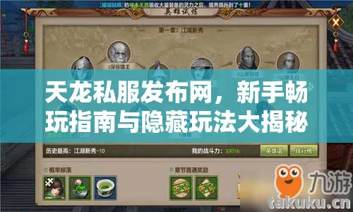 新手畅玩指南与隐藏玩法大揭秘天龙私服图片