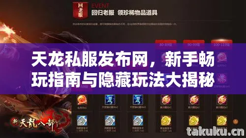 天龙私服发布网，新手畅玩指南与隐藏玩法大揭秘天龙私服