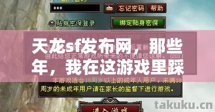 我在这游戏里踩过的坑与摸出的野路子天龙私服图片